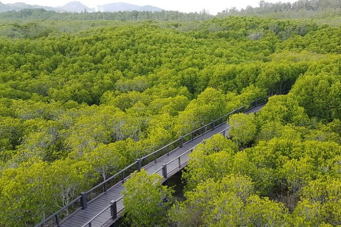 Mangrove Forest Hike and River Boat Ride with Private Guide from Hua Hin - A slow hour on the Pranburi River