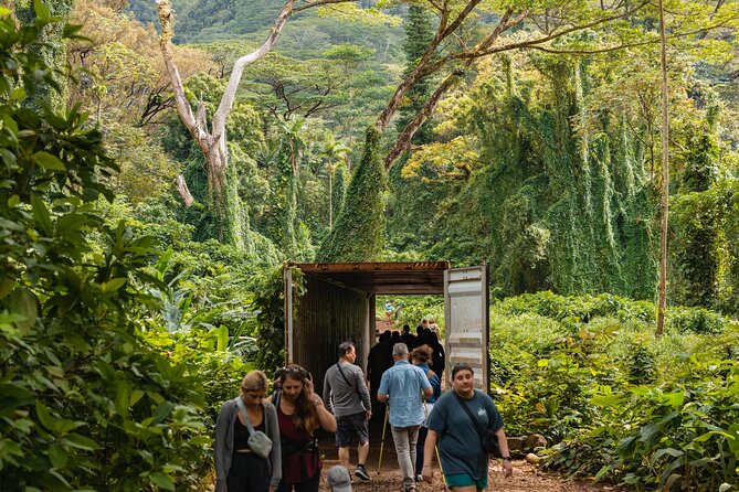 Manoa Waterfall Hike with Waikiki Pickup & Healthy Lunch - Reaching the 150-foot Manoa Waterfall