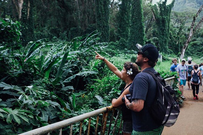 Manoa Waterfall Hike with Waikiki Pickup & Healthy Lunch - Is $107.10 a fair price?