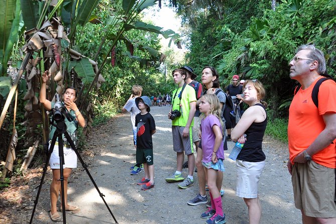 Manuel Antonio National Park Hiking Tour from Jacó - Entering Manuel Antonio National Park around 8:30