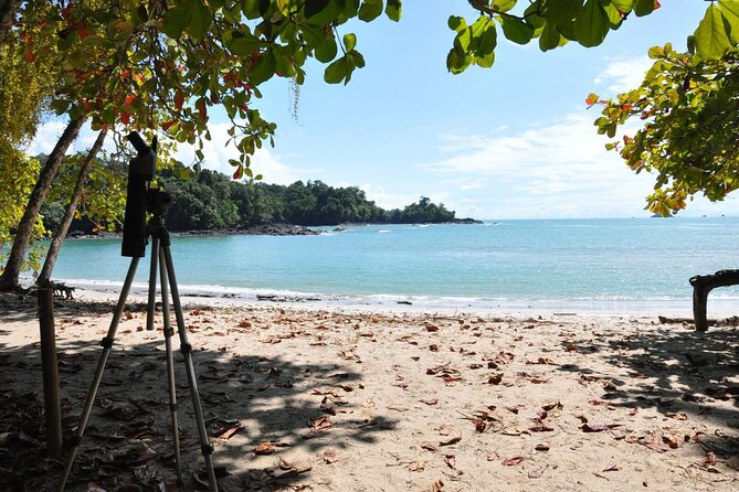 Manuel Antonio National Park Hiking Tour from Jacó - Manuel Antonio Beach and the short swim