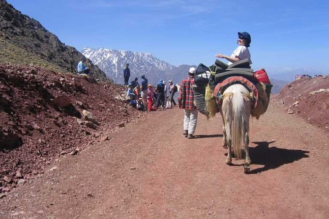 Marrakech: Agafay Desert Camel Ride And Atlas Mountains Hike - Fitness, clothing, and what to bring