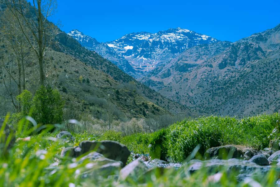 Marrakech: Atlas Adventure, Hike, Camel Ride &desert & lunch - Berber-Style Lunch in the Mountains