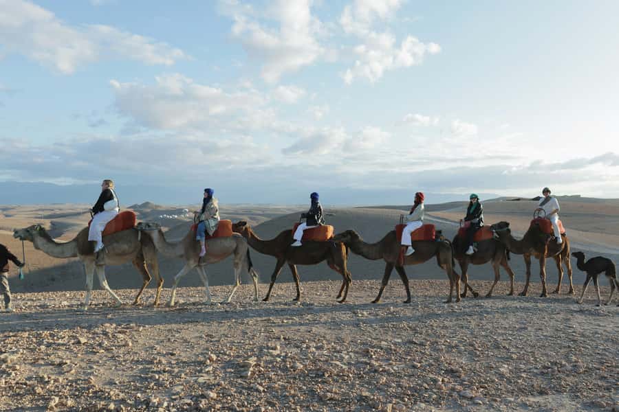 Marrakech: Atlas Adventure, Hike, Camel Ride &desert & lunch - Guides, Languages, and Group Size