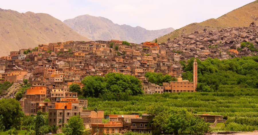 Marrakech: Atlas Mountains & Valleys Waterfall Hike w/ Lunch - What the guides add to the day