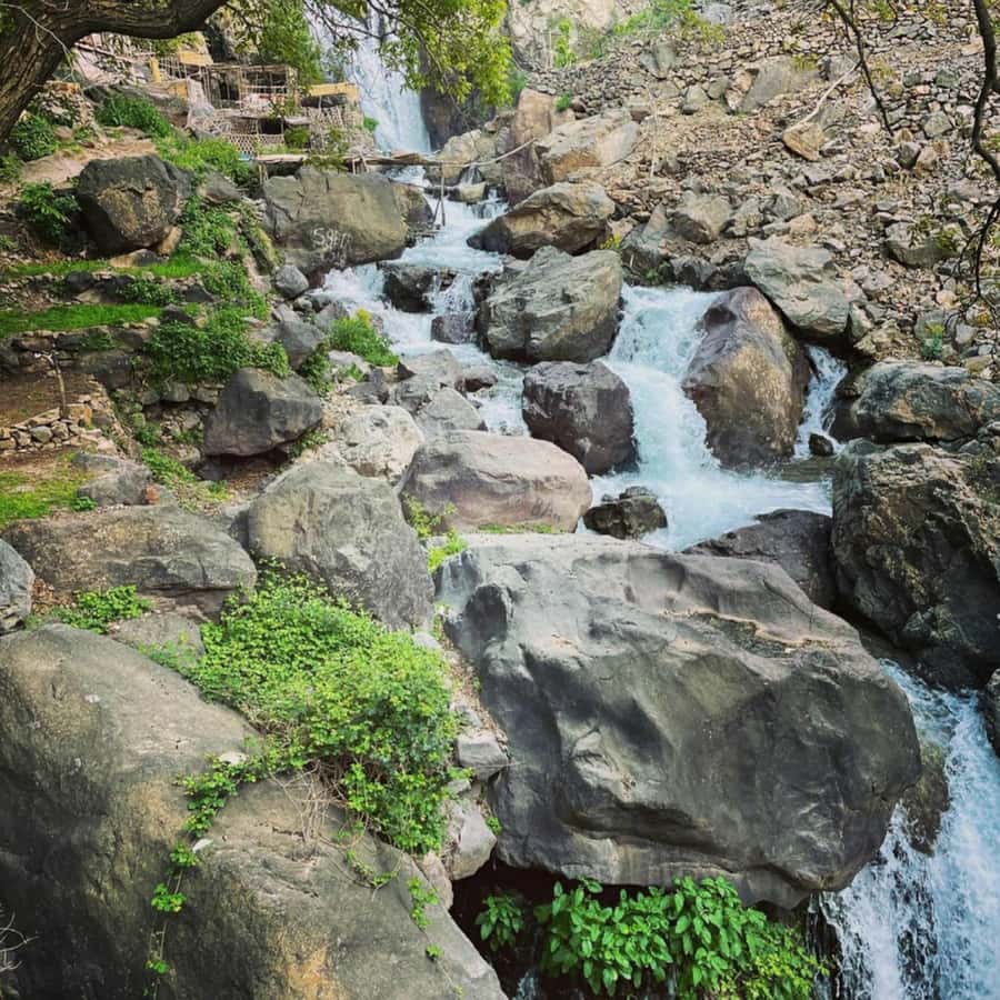 Marrakech: Atlas Mountains & Valleys Waterfall Hike w/ Lunch - Who should book this day trip?