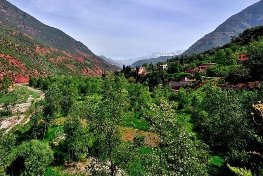 Marrakech: ourika valley lunch & guided hike to waterfalls - A slower afternoon before returning to Marrakech