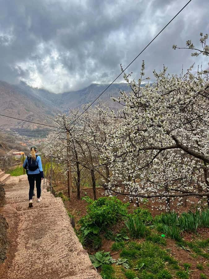 Marrakech: Tedli Summit Atlas Mountains Day Hike & Lunch - Key points to know before you book