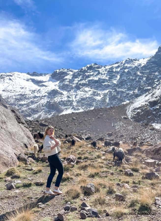 Marrakech: Tedli Summit Atlas Mountains Day Hike & Lunch - Reaching Mount Tedli at 2,600 meters