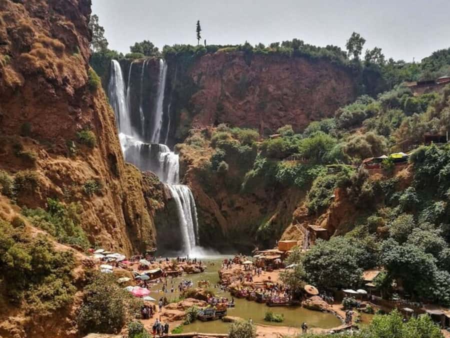 Marrakesh: Ouzoud Waterfalls Trip with Hike & Boat Option - Walking the olive-lined route