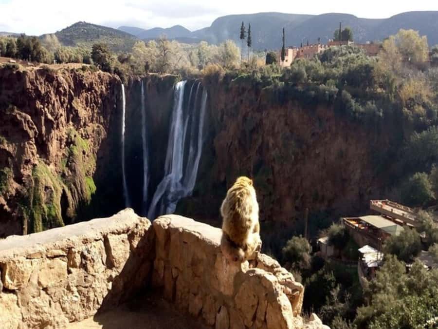 Marrakesh: Ouzoud Waterfalls Trip with Hike & Boat Option - Is $14 good value?