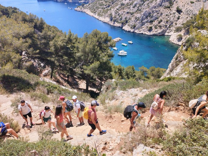 Marseille: Guided Hiking Calanques National Park from Luminy - The picnic: simple food with a local touch