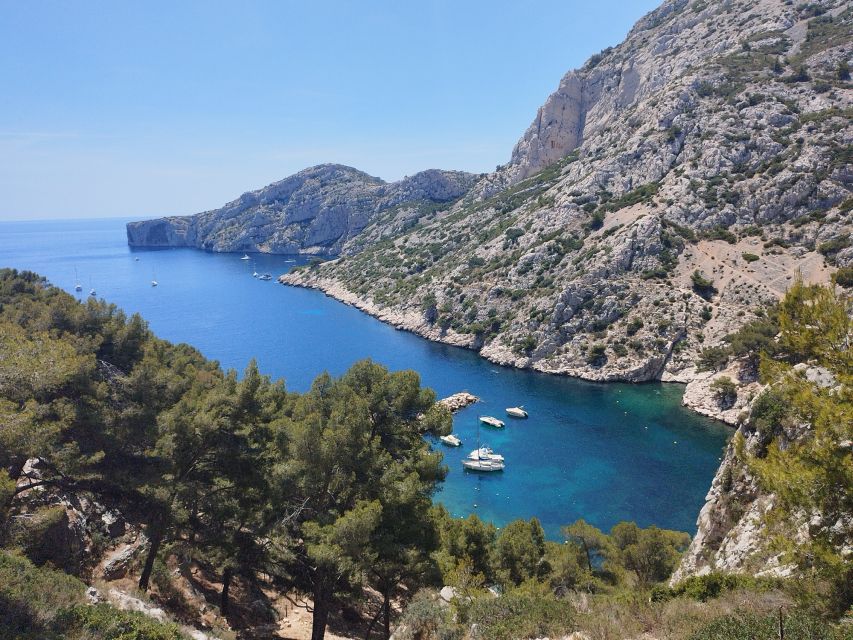 Marseille: Guided Hiking Calanques National Park from Luminy - Getting to the Luminy meeting point