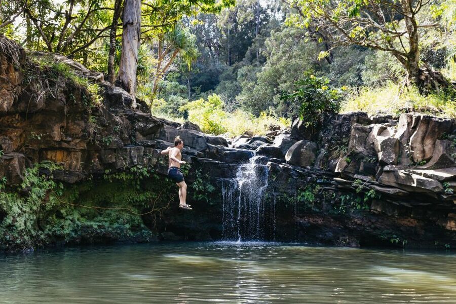 Maui: Rainforest Waterfalls Guided Hike with Picnic Lunch - Key points to know before you book