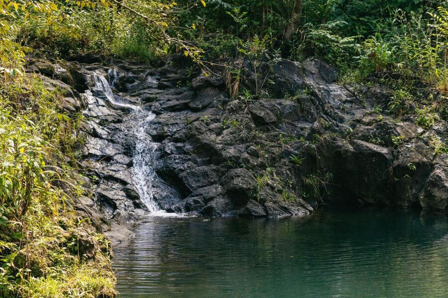 Maui: Rainforest Waterfalls Guided Hike with Picnic Lunch - What to pack and what to leave behind