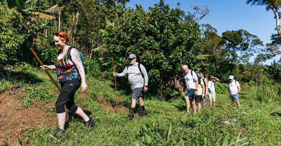 Maui: Rainforest Waterfalls Guided Hike with Picnic Lunch - The trail is easy in places and demanding in others
