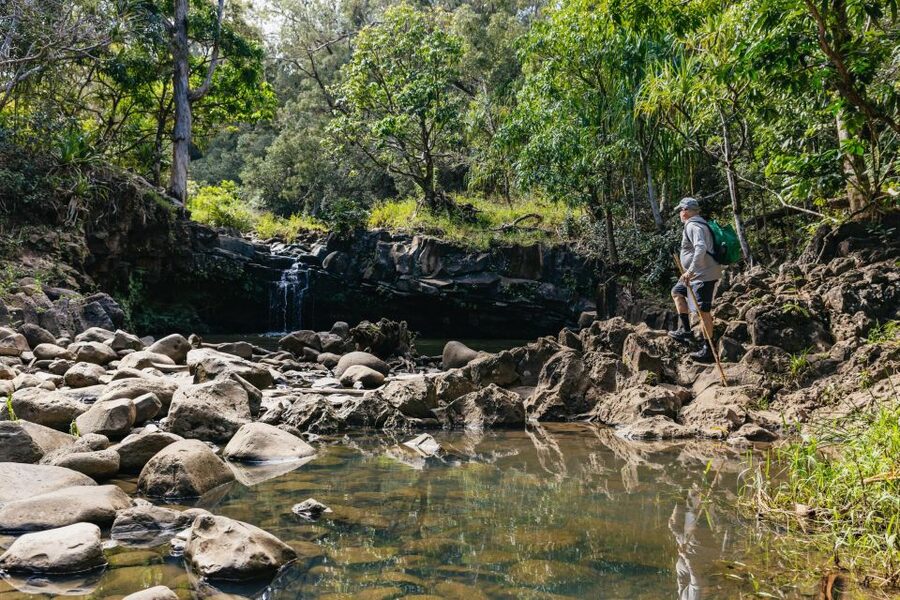 Maui: Rainforest Waterfalls Guided Hike with Picnic Lunch - A picnic beside the falls