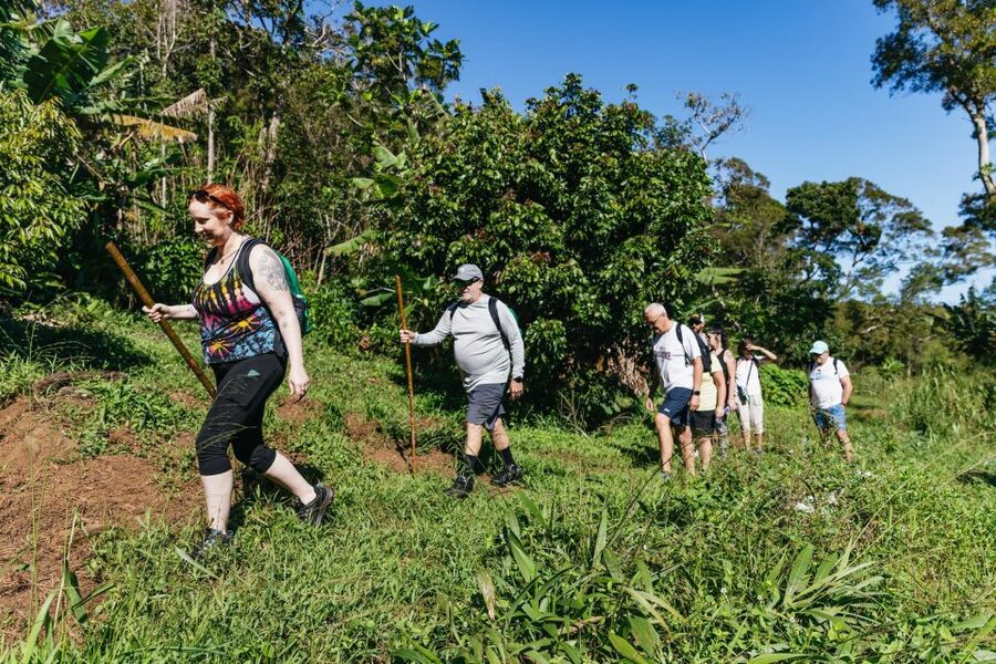 Maui: Rainforest Waterfalls Guided Hike with Picnic Lunch - Why private trail access changes the experience