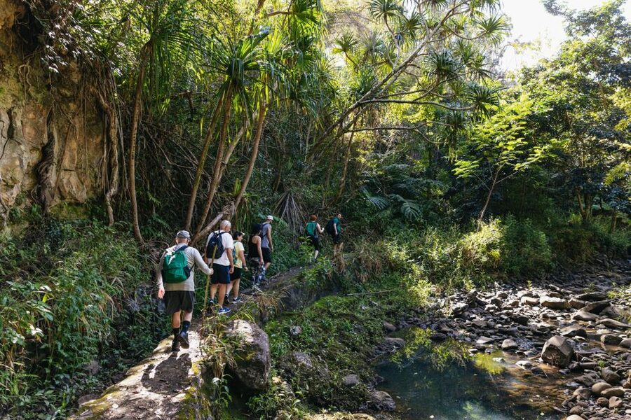 Maui: Rainforest Waterfalls Guided Hike with Picnic Lunch - How the five hours feel