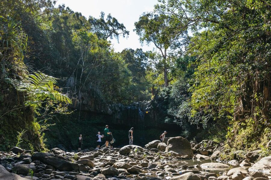 Maui: Rainforest Waterfalls Guided Hike with Picnic Lunch - Is $187 a fair price?