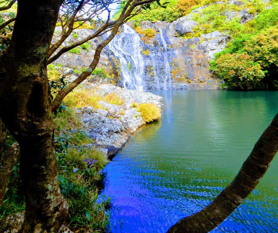 Mauritius: Guided Tamarind Falls Hike with Hotel Transfers - Waterfalls, pools, and the best photo stops