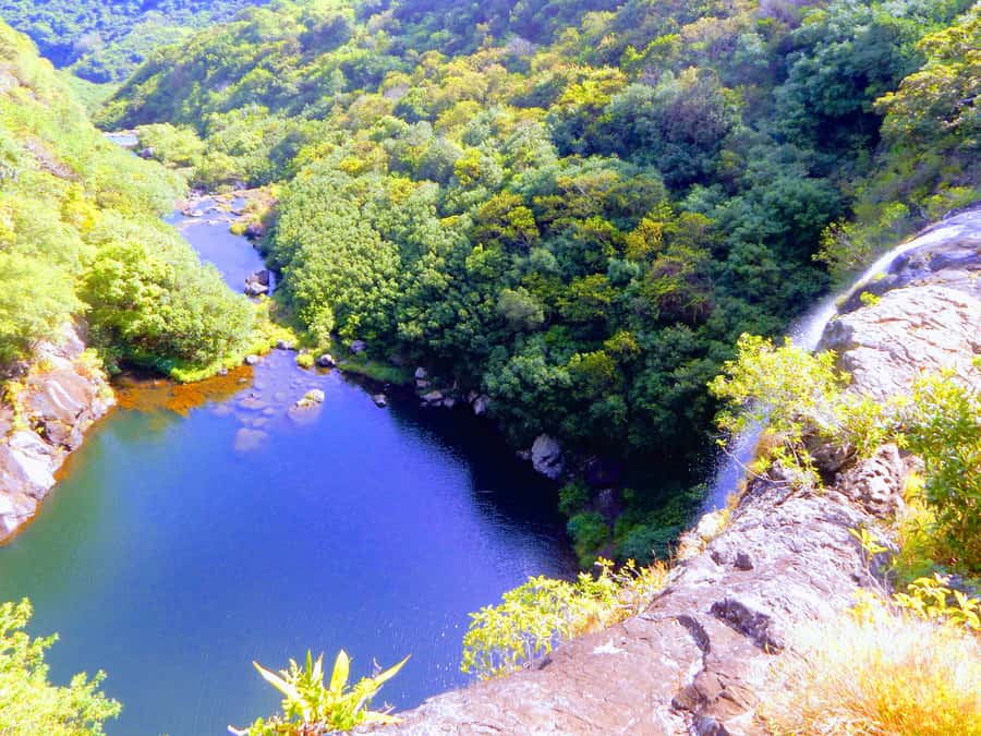 Mauritius: Guided Tamarind Falls Hike with Hotel Transfers - The first forest paths and river sections