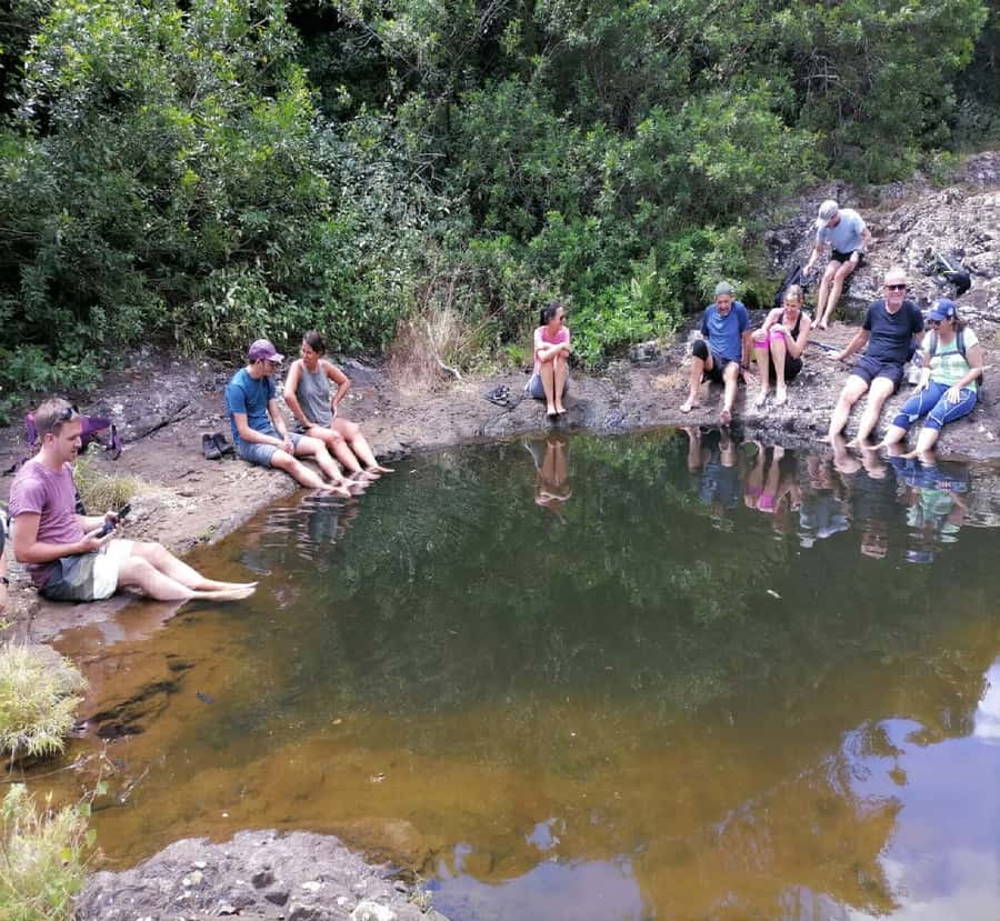 Mauritius: Tamarind Falls Guided Hike with Swim and Lunch - What the Guide Adds to the Experience