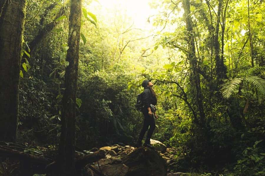 Medellín: Secret Waterfall Hike Tour with Snack and Coffee - Leaving Poblado for the forest