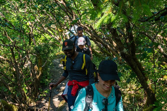 Mendenhall Glacier Guided Hike Juneau - Rain gear, snacks, and what to wear