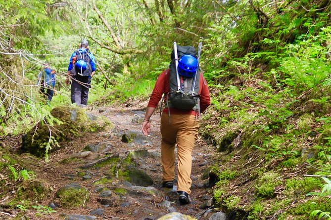 Mendenhall Glacier Guided Hike Juneau - Who should book this Mendenhall hike?