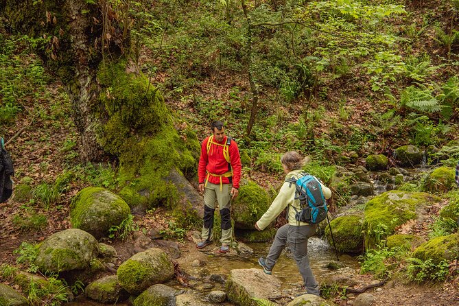 Meteora Small Group Hiking tour with Transfer and Monastery Visit - Clothing, timing, and the practical details
