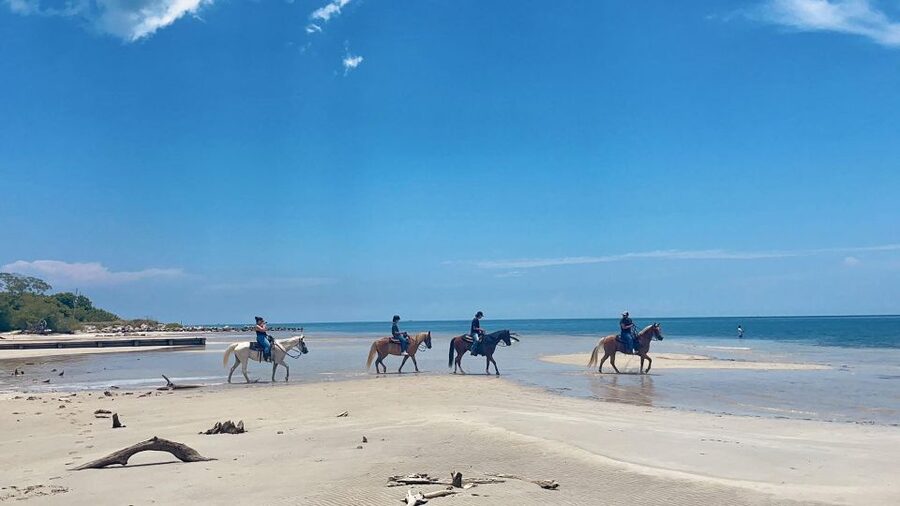 Miami: Beach Horse Ride & Nature Trail - Key points to know before you book