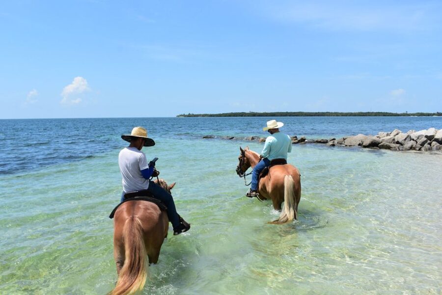 Miami: Beach Horse Ride & Nature Trail - A beach ride with a nature-trail beginning