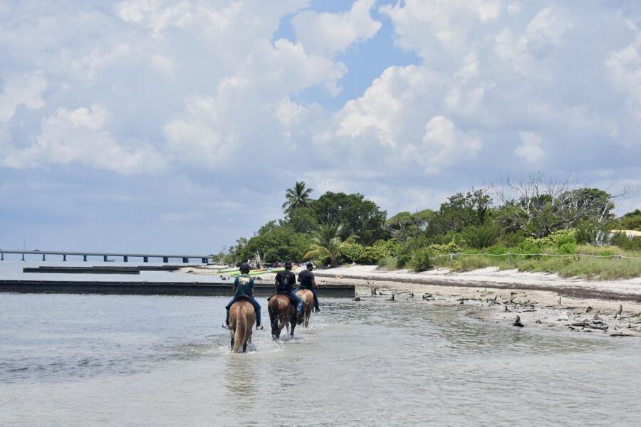 Miami: Beach Horse Ride & Nature Trail - Through historic Virginia Key Beach Park