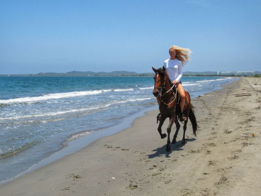 Miami: Beach Horse Ride & Nature Trail - Reaching the white sand