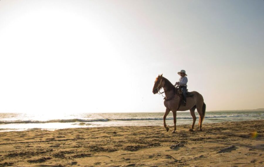 Miami: Beach Horse Ride & Nature Trail - Getting comfortable with your horse