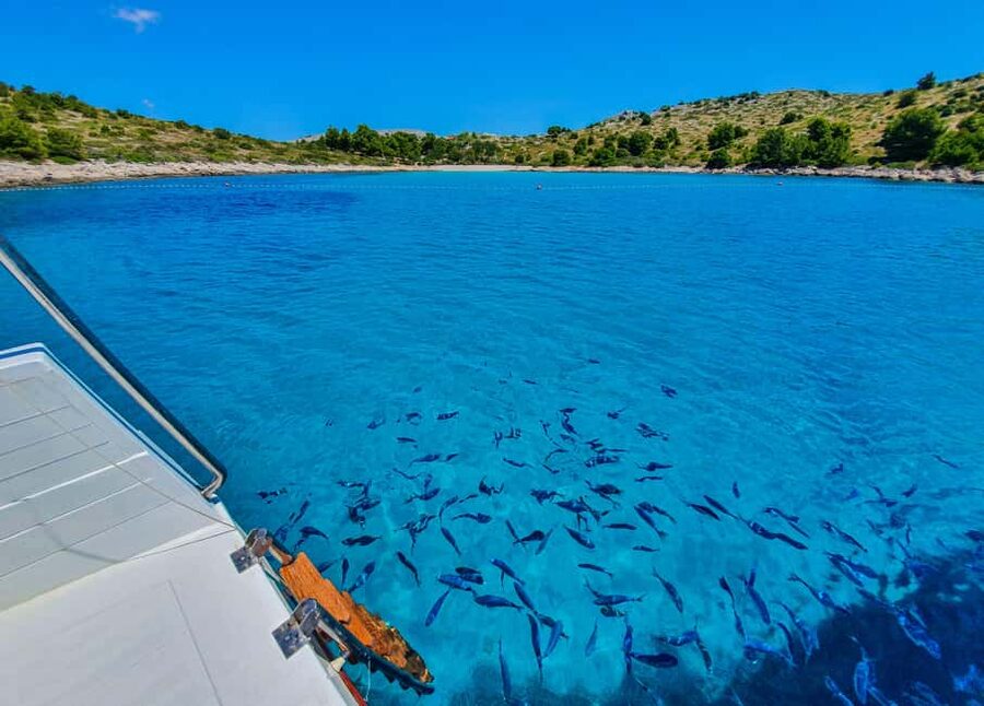 Mikado Kornati Excursion with snorkeling and hiking stops - Tarac Bay combines a short walk with a strong view