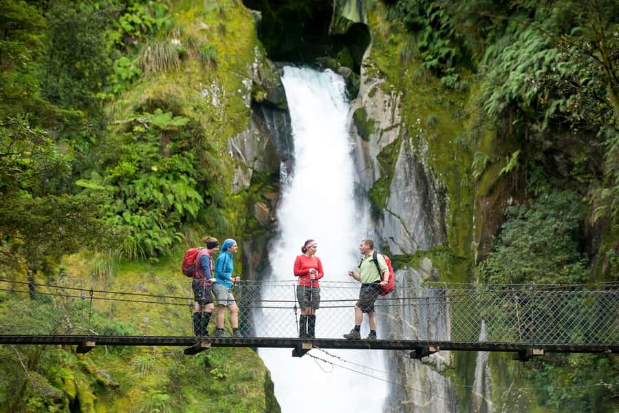 Milford Track: Full Day Guided Hike and Nature Cruise - Key points to know before booking