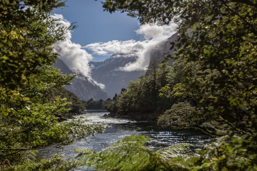 Milford Track: Full Day Guided Hike and Nature Cruise - Why this land-and-water pairing works