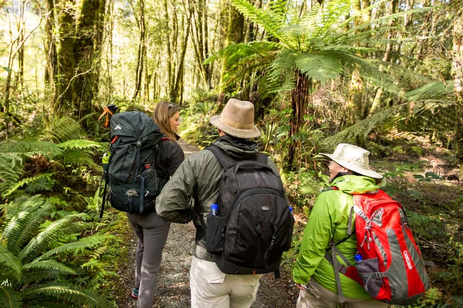 Milford Track: Full Day Guided Hike and Nature Cruise - Wildlife, weather, and what you can really expect