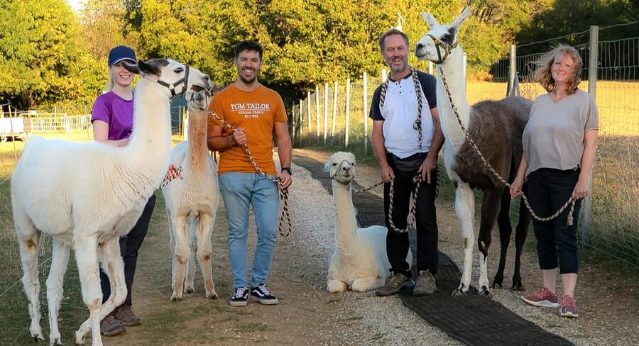 Mödling/Vienna: Scenic Guided Hike with Alpacas and Llamas - Should you book the Mödling alpaca hike?