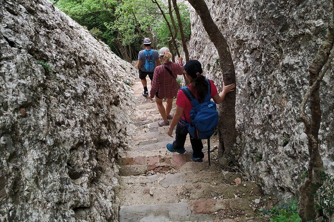 Montserrat Hiking Experience & Monastery Premium Small Group Tour - Choosing the right hiking option