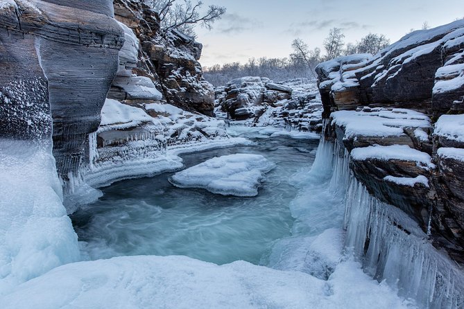 Morning hike in Abisko National Park - Who should book this morning walk?