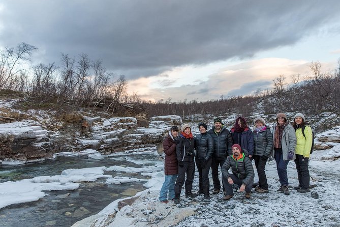 Morning hike in Abisko National Park - Wildlife signs matter as much as wildlife sightings