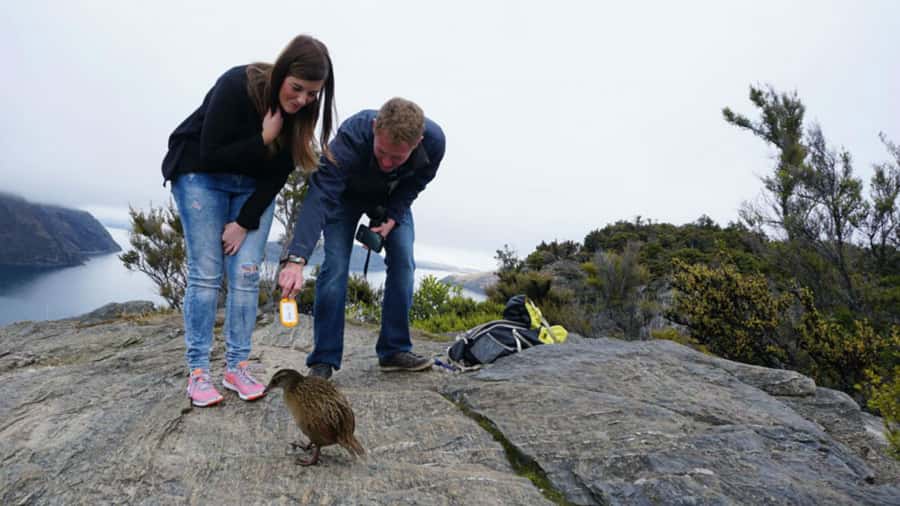 Mou Waho Island: 3-Hour Cruise and Guided Nature Walk - The two-hour walk to the island lake