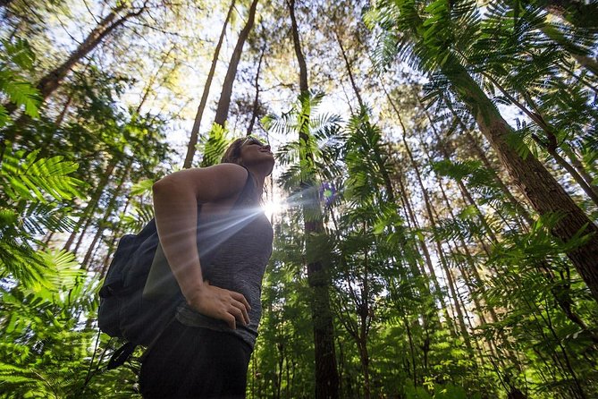 Mount Batur Sunrise Hike with Breakfast - What the $30 price really covers