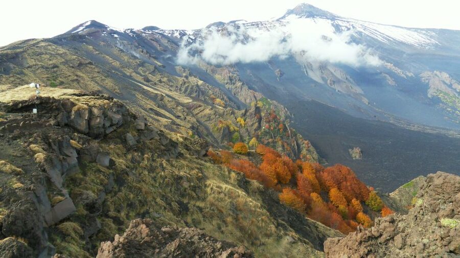 Mount Etna: Half-Day Guided Tour and Hike - Zafferana Etnea and the taste of Sicily