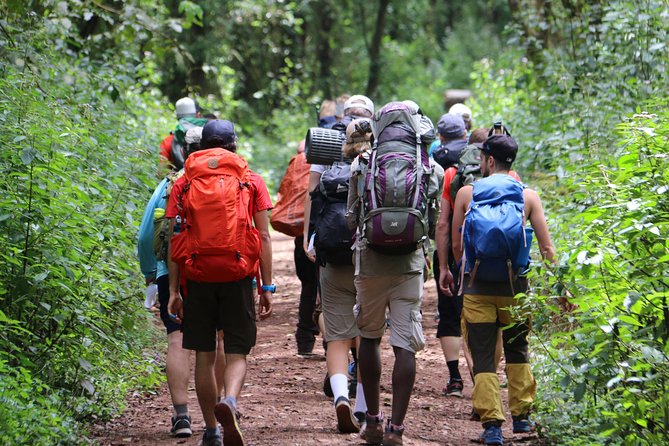 Mount Kilimanjaro Day Hike - What this Kilimanjaro day hike really offers