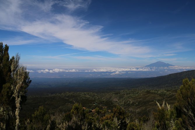 Mount Kilimanjaro Day Hike - A 7:00 a.m. start from Arusha