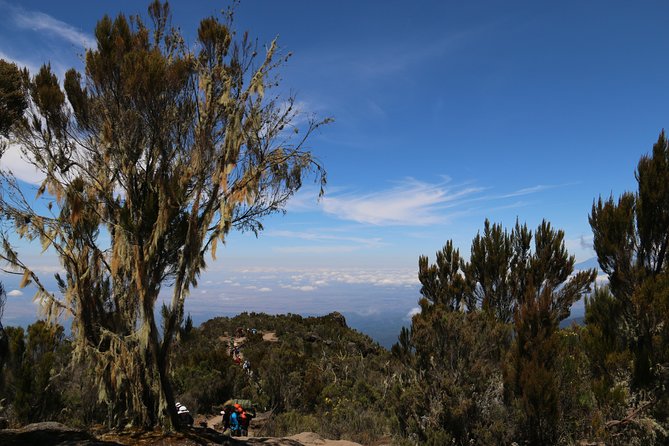 Mount Kilimanjaro Day Hike - Is $300 a fair price?